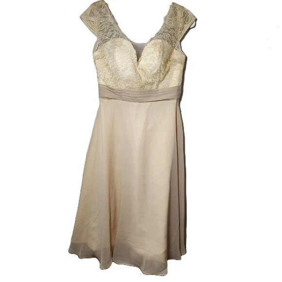 Warm Notices Champagne Lace & Chiffon Cocktail Dress Size 6 Elegant V-Neck - Picture 3 of 13
